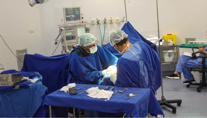  Com 786 mil cirurgias eletivas, Paraná alcança recorde de procedimentos em 2025